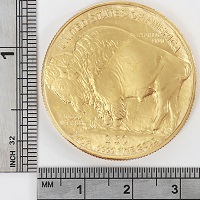 American Buffalo 1 Oz Gold Coin 2006