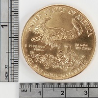 American Eagle 1 Oz Gold Coin 2016