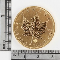 Maple Leaf 1 Oz Gold Coin 2014