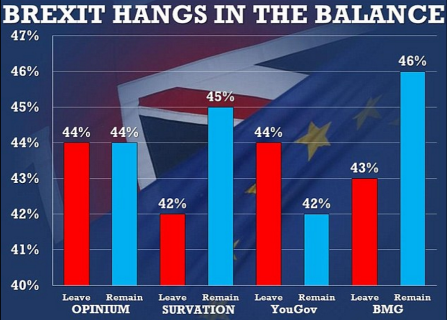 Chart of recent Brexit opinion polls via the Daily Mail